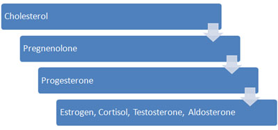 Progesterone Therapy